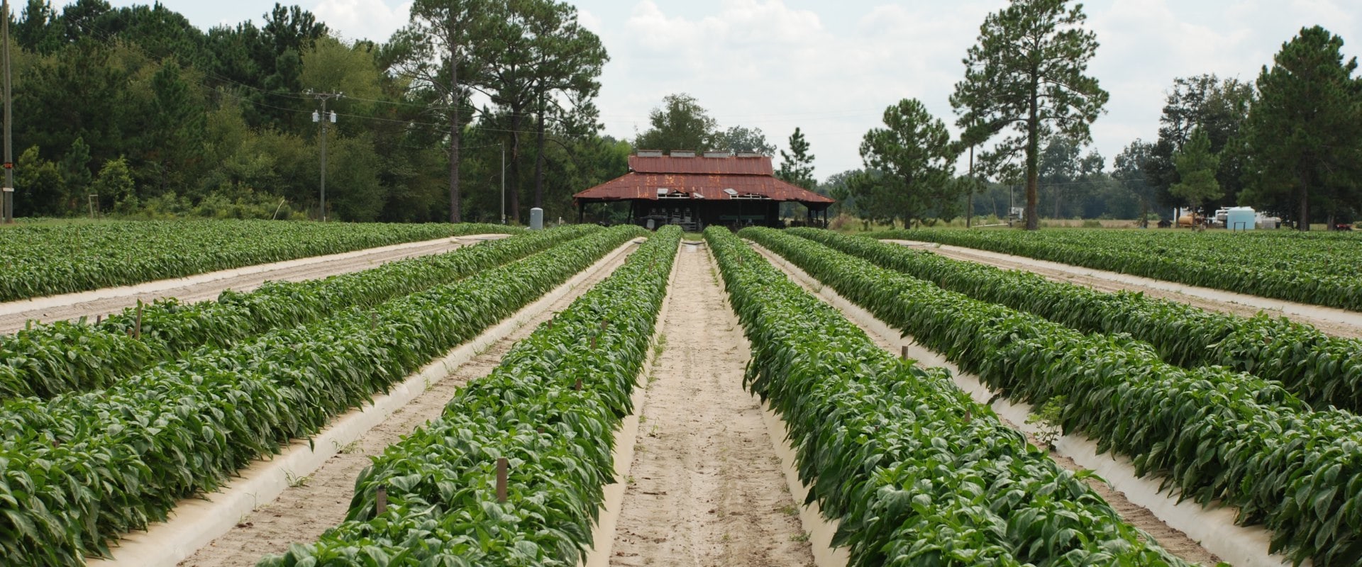 Maximizing Your Irrigation Business's Profitability