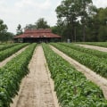 Maximizing Your Irrigation Business's Profitability
