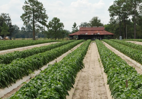 Maximizing Your Irrigation Business's Profitability